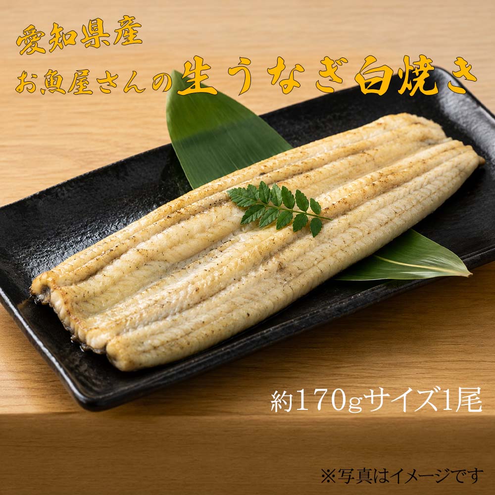 愛知産　お魚屋さんの生うなぎ白焼き