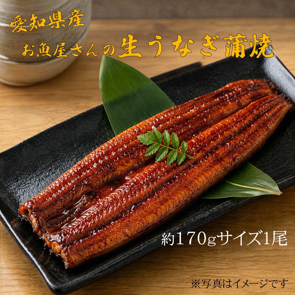 愛知産　お魚屋さんの生うなぎ蒲焼き