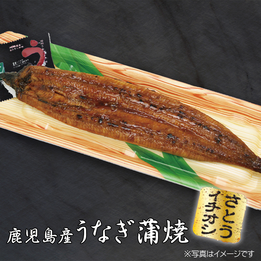 鹿児島産うなぎ蒲焼き　約２００ｇサイズ