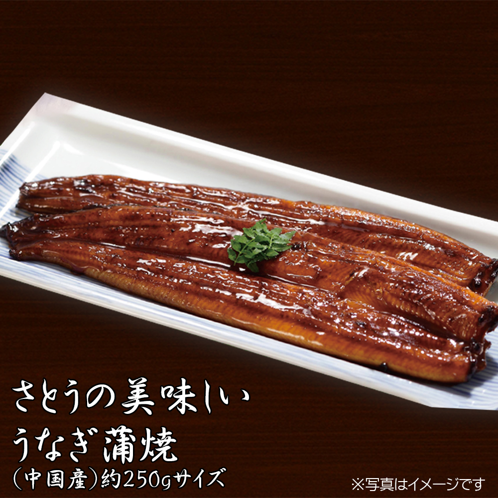中国産　うなぎ蒲焼き　２２０ｇ以上 １尾